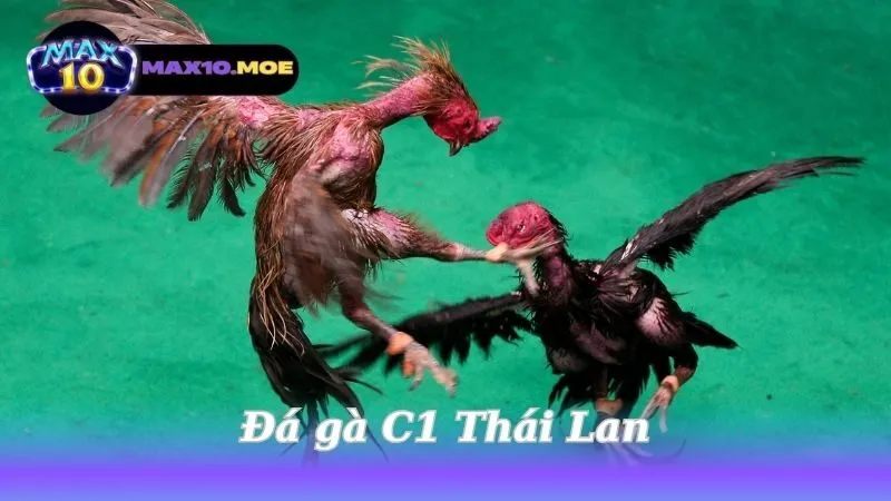 da-ga-c1-thai-lan